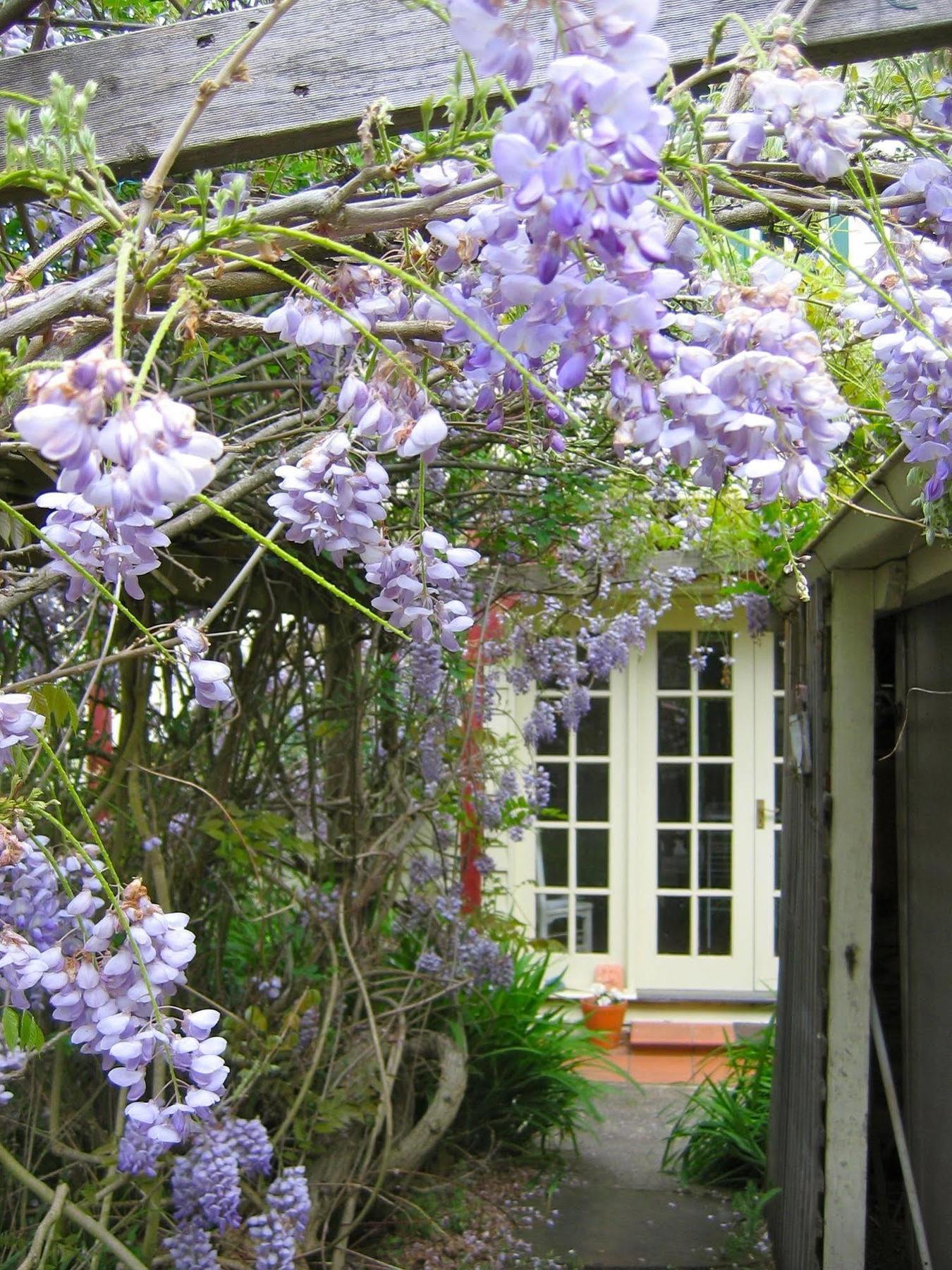Bed and Breakfast Crabtree House à Grove Extérieur photo
