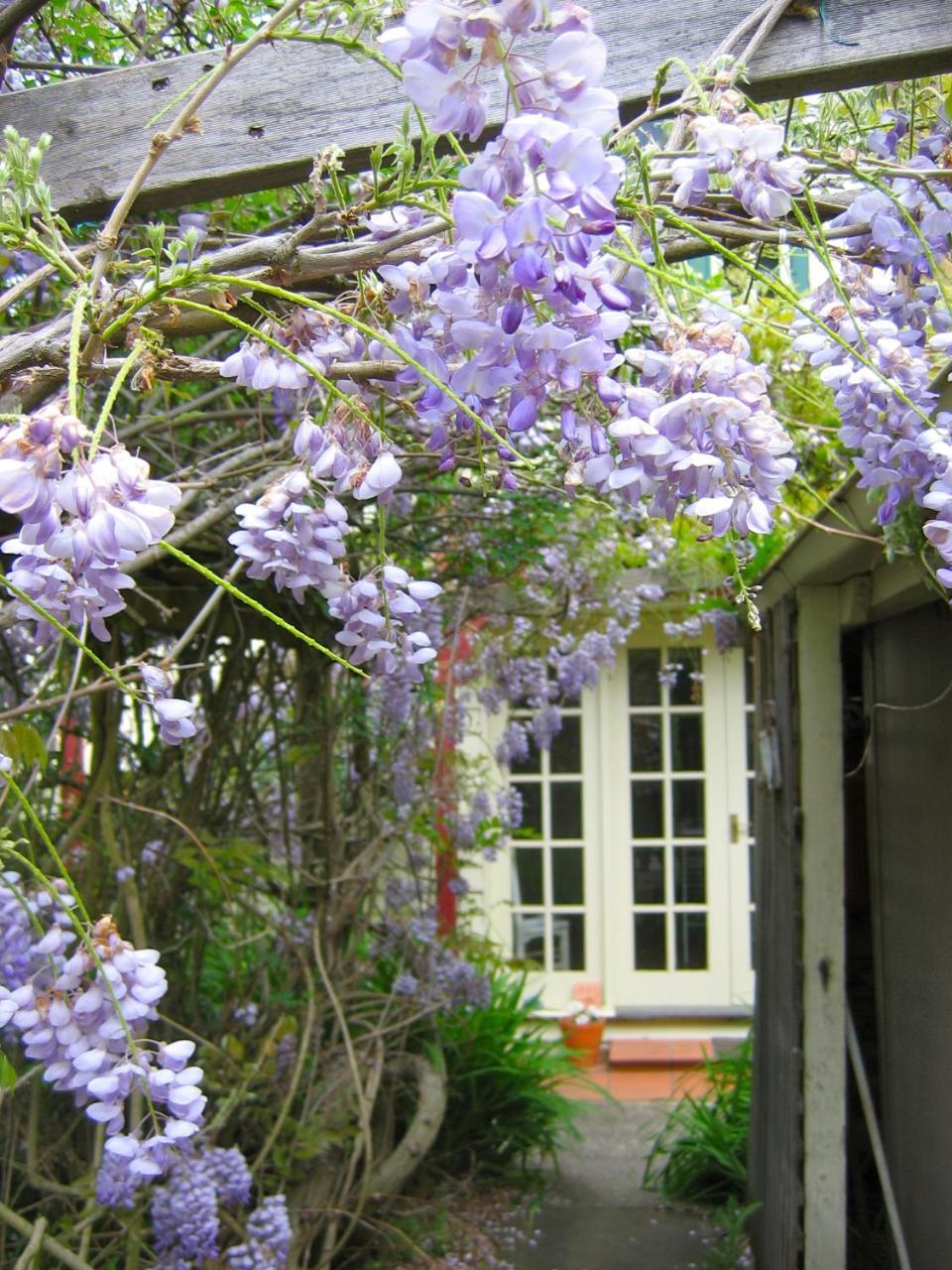 Bed and Breakfast Crabtree House à Grove Extérieur photo